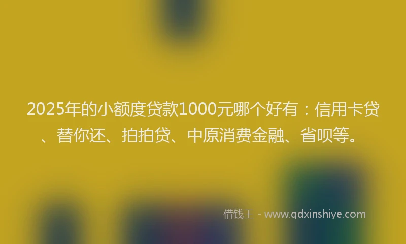 2025年的小额度贷款1000元哪个好有：信用卡贷、替你还、拍拍贷、中原消费金融、省呗等。
