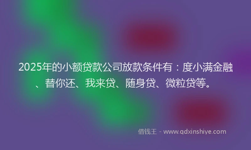 2025年的小额贷款公司放款条件有：度小满金融、替你还、我来贷、随身贷、微粒贷等。
