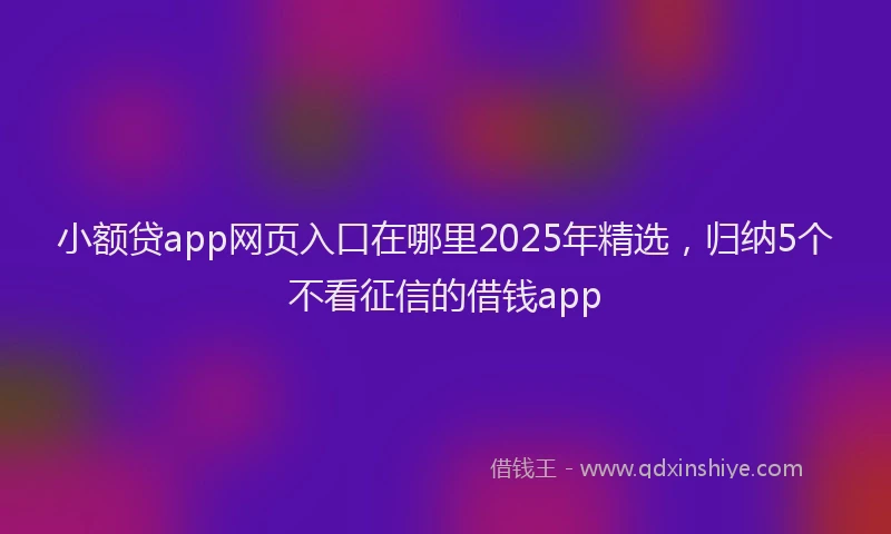 小额贷app网页入口在哪里2025年精选，归纳5个不看征信的借钱app