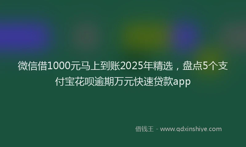 微信借1000元马上到账2025年精选，盘点5个支付宝花呗逾期万元快速贷款app