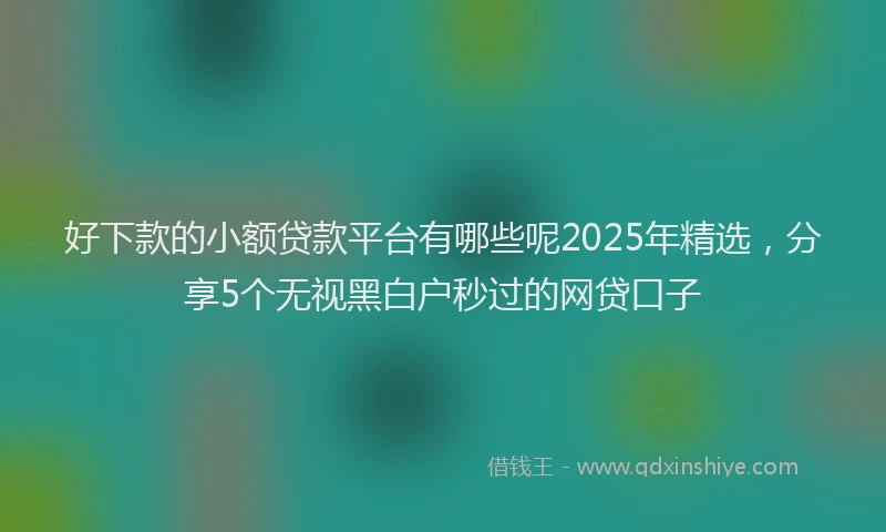 好下款的小额贷款平台有哪些呢2025年精选，分享5个无视黑白户秒过的网贷口子