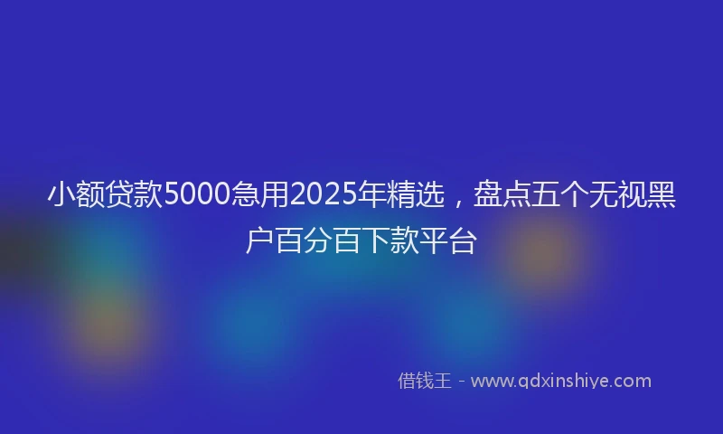 小额贷款5000急用2025年精选，盘点五个无视黑户百分百下款平台