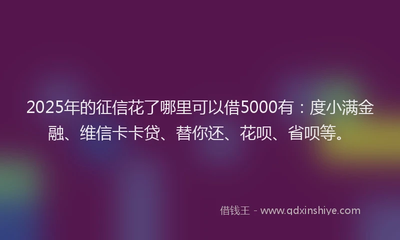 2025年的征信花了哪里可以借5000有：度小满金融、维信卡卡贷、替你还、花呗、省呗等。
