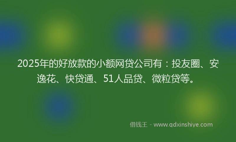 2025年的好放款的小额网贷公司有：投友圈、安逸花、快贷通、51人品贷、微粒贷等。