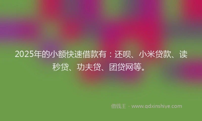 2025年的小额快速借款有：还呗、小米贷款、读秒贷、功夫贷、团贷网等。