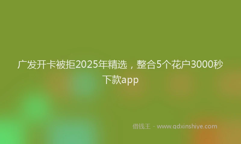 广发开卡被拒2025年精选，整合5个花户3000秒下款app