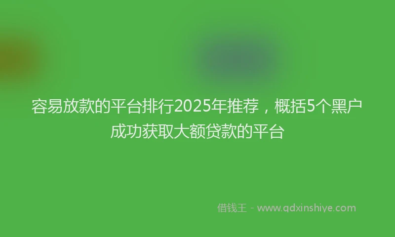 容易放款的平台排行2025年推荐，概括5个黑户成功获取大额贷款的平台