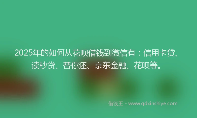 2025年的如何从花呗借钱到微信有：信用卡贷、读秒贷、替你还、京东金融、花呗等。