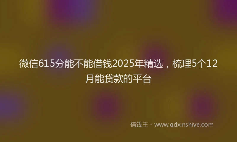 微信615分能不能借钱2025年精选，梳理5个12月能贷款的平台