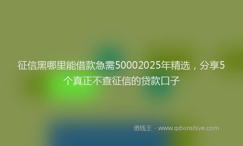 征信黑哪里能借款急需50002025年精选，分享5个真正不查征信的贷款口子