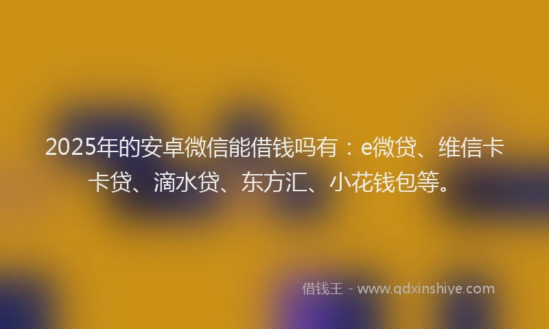 2025年的安卓微信能借钱吗有：e微贷、维信卡卡贷、滴水贷、东方汇、小花钱包等。