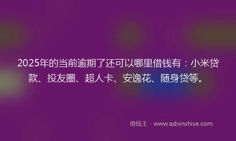 2025年的当前逾期了还可以哪里借钱有：小米贷款、投友圈、超人卡、安逸花、随身贷等。
