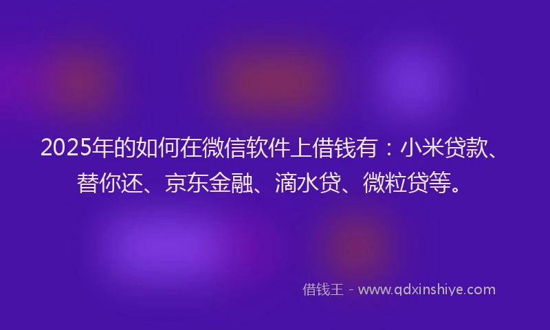 2025年的如何在微信软件上借钱有：小米贷款、替你还、京东金融、滴水贷、微粒贷等。