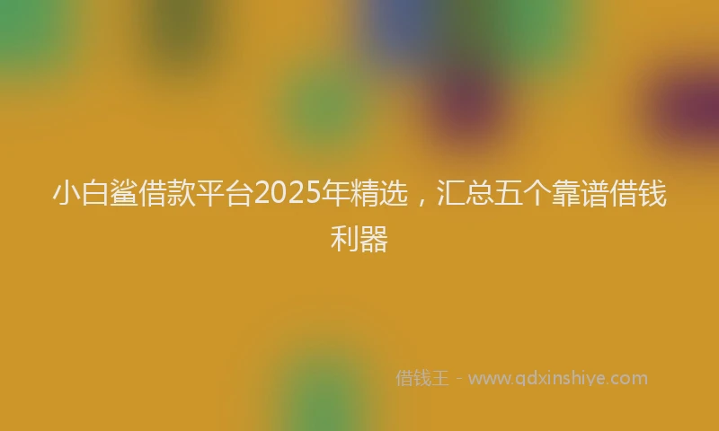 小白鲨借款平台2025年精选，汇总五个靠谱借钱利器