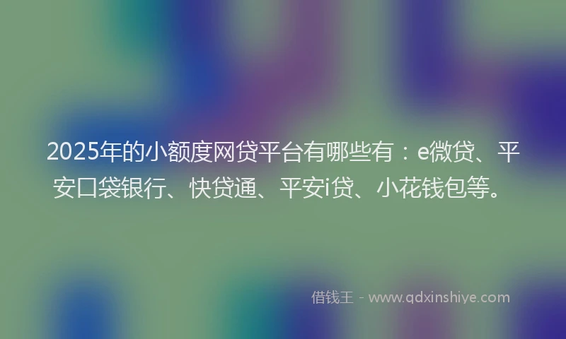 2025年的小额度网贷平台有哪些有：e微贷、平安口袋银行、快贷通、平安i贷、小花钱包等。