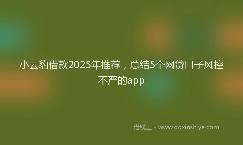 小云豹借款2025年推荐，总结5个网贷口子风控不严的app