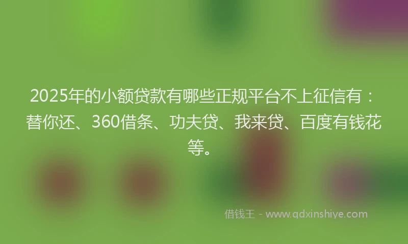 2025年的小额贷款有哪些正规平台不上征信有：替你还、360借条、功夫贷、我来贷、百度有钱花等。