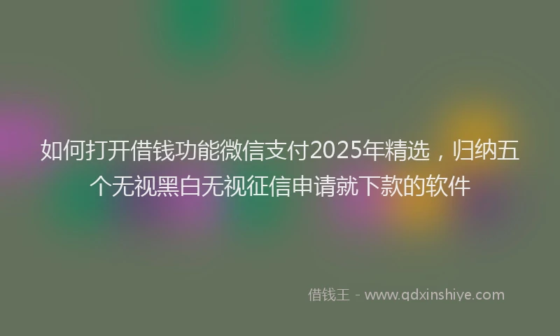如何打开借钱功能微信支付2025年精选，归纳五个无视黑白无视征信申请就下款的软件