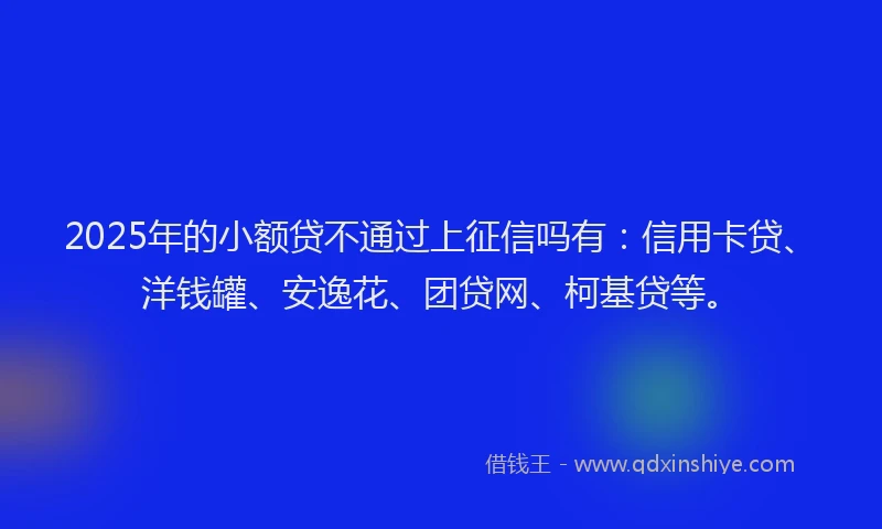 2025年的小额贷不通过上征信吗有：信用卡贷、洋钱罐、安逸花、团贷网、柯基贷等。