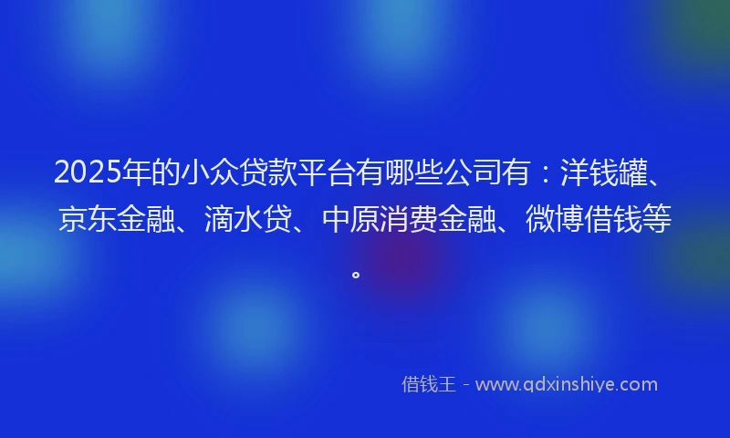 2025年的小众贷款平台有哪些公司有：洋钱罐、京东金融、滴水贷、中原消费金融、微博借钱等。