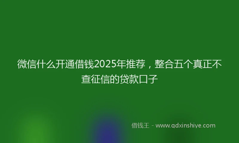 微信什么开通借钱2025年推荐，整合五个真正不查征信的贷款口子