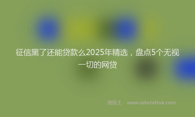 征信黑了还能贷款么2025年精选，盘点5个无视一切的网贷