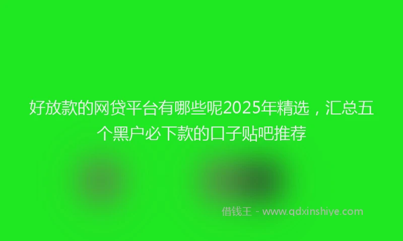 好放款的网贷平台有哪些呢2025年精选，汇总五个黑户必下款的口子贴吧推荐