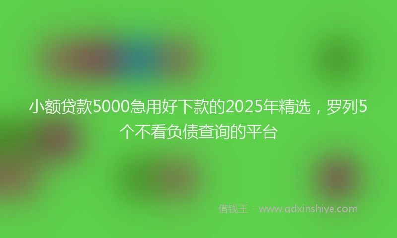 小额贷款5000急用好下款的2025年精选，罗列5个不看负债查询的平台
