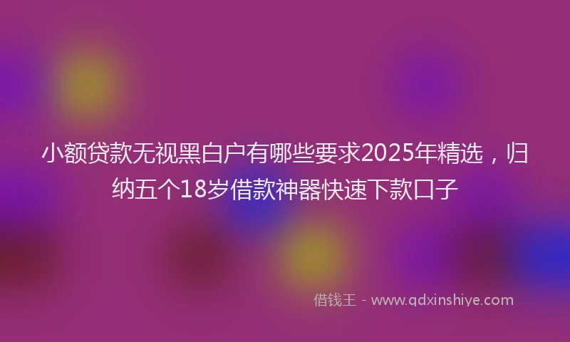 小额贷款无视黑白户有哪些要求2025年精选，归纳五个18岁借款神器快速下款口子