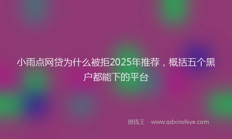 小雨点网贷为什么被拒2025年推荐，概括五个黑户都能下的平台