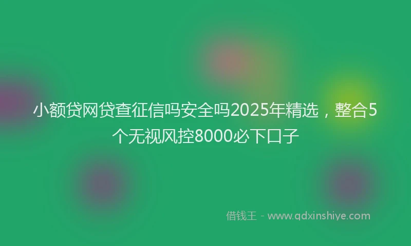 小额贷网贷查征信吗安全吗2025年精选，整合5个无视风控8000必下口子