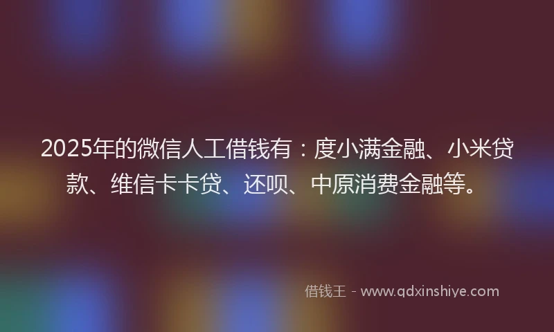 2025年的微信人工借钱有：度小满金融、小米贷款、维信卡卡贷、还呗、中原消费金融等。