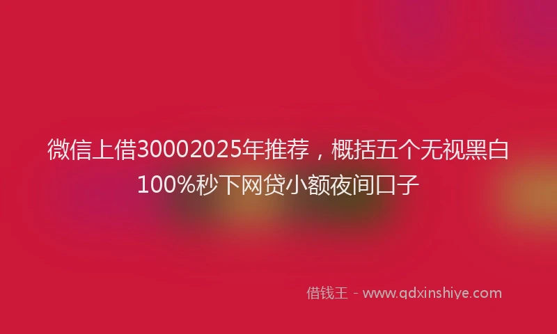 微信上借30002025年推荐，概括五个无视黑白100%秒下网贷小额夜间口子