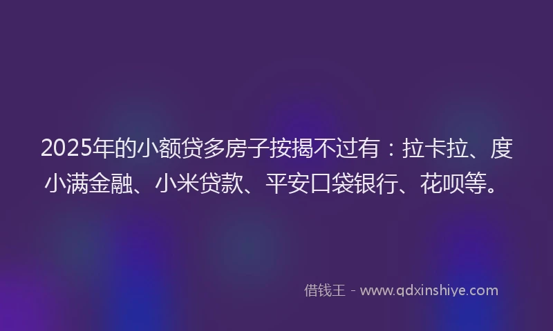 2025年的小额贷多房子按揭不过有：拉卡拉、度小满金融、小米贷款、平安口袋银行、花呗等。