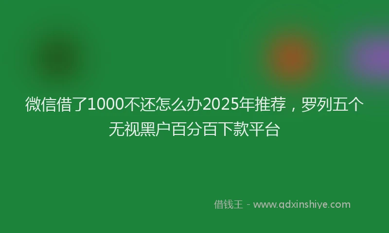 微信借了1000不还怎么办2025年推荐，罗列五个无视黑户百分百下款平台