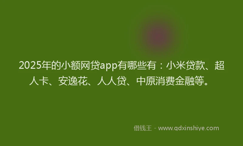 2025年的小额网贷app有哪些有：小米贷款、超人卡、安逸花、人人贷、中原消费金融等。