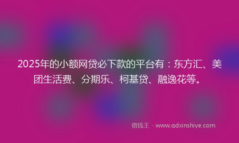 2025年的小额网贷必下款的平台有：东方汇、美团生活费、分期乐、柯基贷、融逸花等。