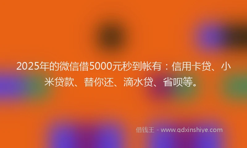 2025年的微信借5000元秒到帐有：信用卡贷、小米贷款、替你还、滴水贷、省呗等。