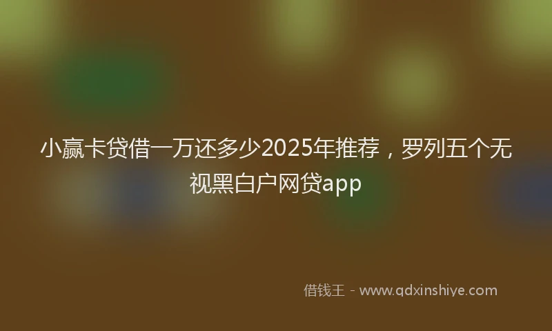 小赢卡贷借一万还多少2025年推荐，罗列五个无视黑白户网贷app