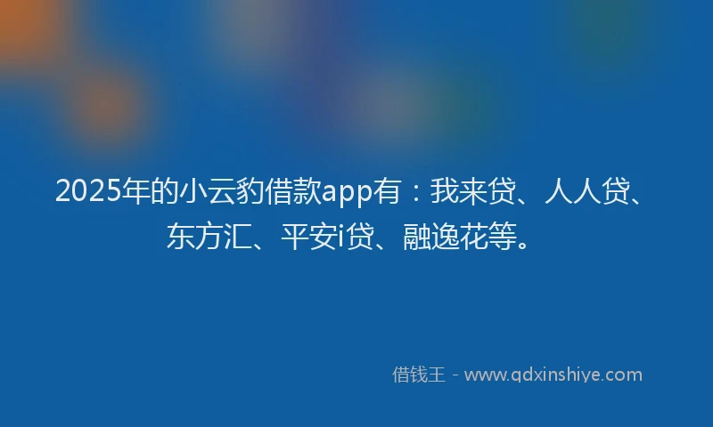 2025年的小云豹借款app有：我来贷、人人贷、东方汇、平安i贷、融逸花等。