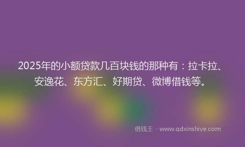 2025年的小额贷款几百块钱的那种有：拉卡拉、安逸花、东方汇、好期贷、微博借钱等。