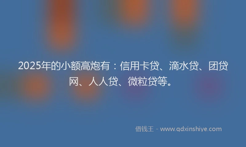 2025年的小额高炮有：信用卡贷、滴水贷、团贷网、人人贷、微粒贷等。