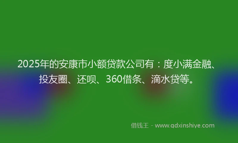 2025年的安康市小额贷款公司有：度小满金融、投友圈、还呗、360借条、滴水贷等。