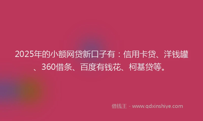2025年的小额网贷新口子有：信用卡贷、洋钱罐、360借条、百度有钱花、柯基贷等。