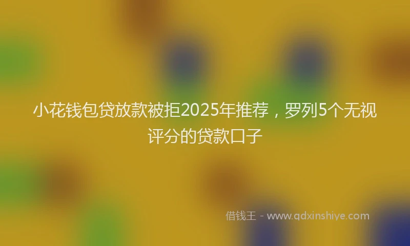 小花钱包贷放款被拒2025年推荐，罗列5个无视评分的贷款口子