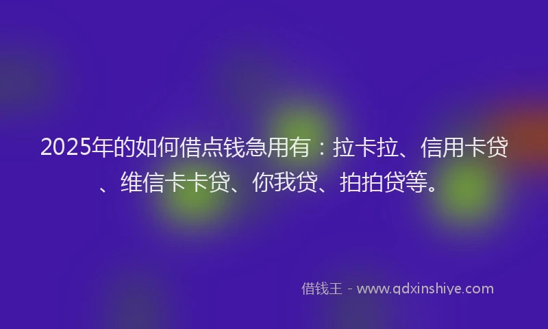 2025年的如何借点钱急用有：拉卡拉、信用卡贷、维信卡卡贷、你我贷、拍拍贷等。