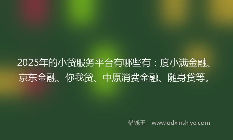 2025年的小贷服务平台有哪些有：度小满金融、京东金融、你我贷、中原消费金融、随身贷等。