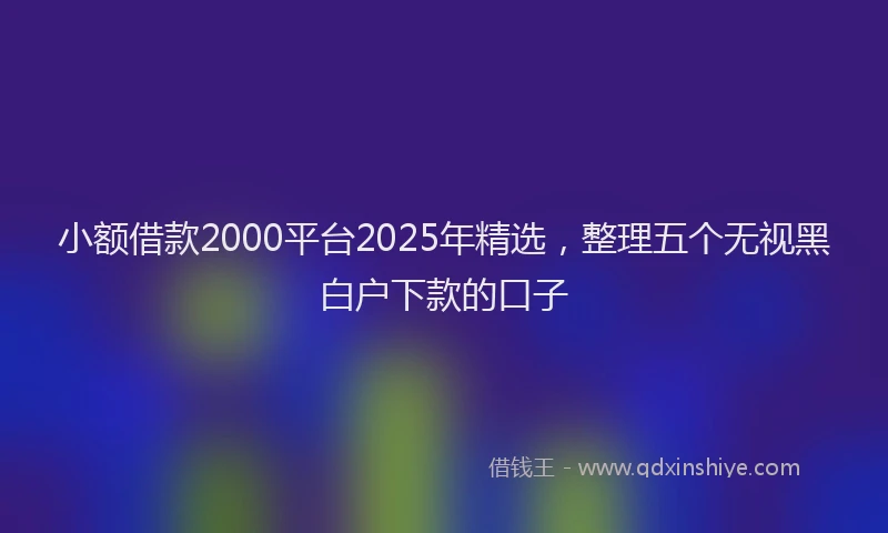小额借款2000平台2025年精选，整理五个无视黑白户下款的口子
