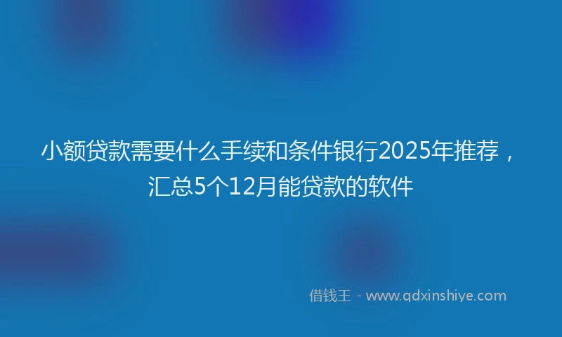 小额贷款需要什么手续和条件银行2025年推荐，汇总5个12月能贷款的软件