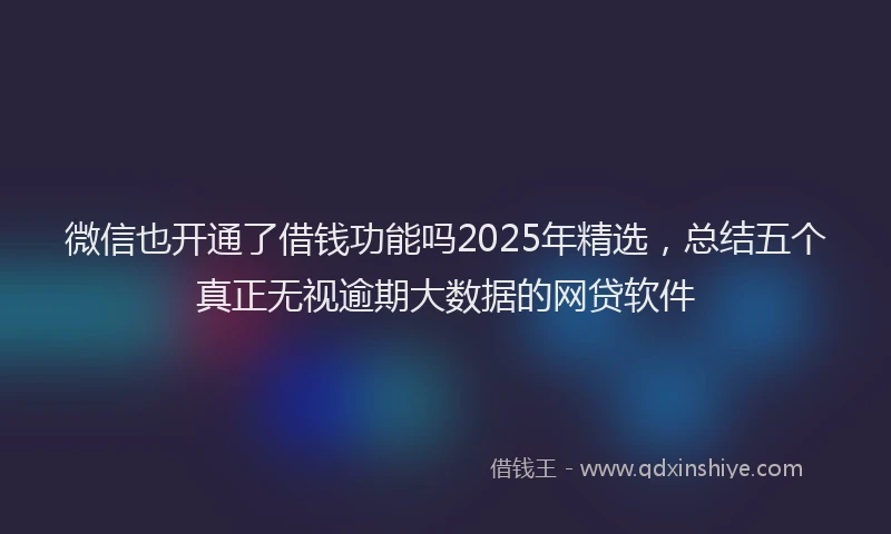 微信也开通了借钱功能吗2025年精选，总结五个真正无视逾期大数据的网贷软件